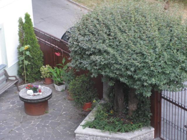 Ferienwohnung Lienz Egger Exterior foto